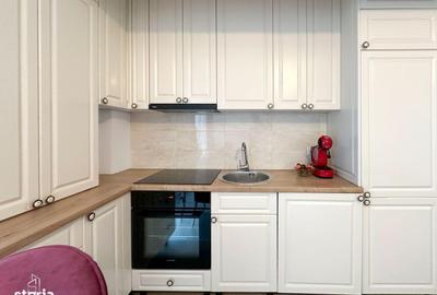 Apartament cu 2 camere semidecomandat, mobilat în Parcul Carol - 2