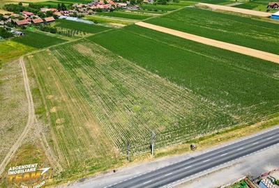 8.400mp, la DN12, cu Certificat Urbanism, teren intravilan, Chichis, Covasna. - 6