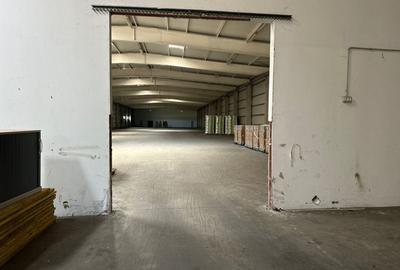 Spatiu depozitare - logistica 2.519 mp si birouri Chiajna A1 - 27