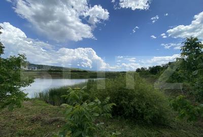 Teren extravilan 10000 mp, cu balta de peste, Salaj, Sarmasa - 4
