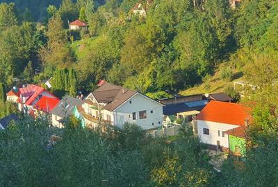 Casă cu 3 camere cu Teren 880 Mp în Văliug - 7