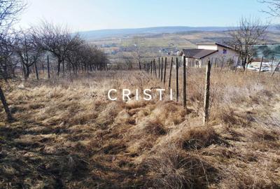 Casă cu 2 camere în Tomești - 6