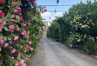 Imobil si teren de vanzare - 9