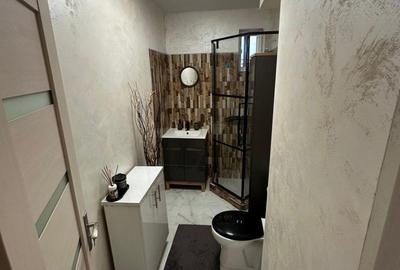 Apartament cu 2 camere decomandat în Calea București - 6