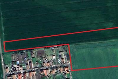 Teren agricol extravilan de 20000 mp, în Est - 2