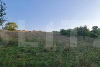 Teren de 11 mp, în Central