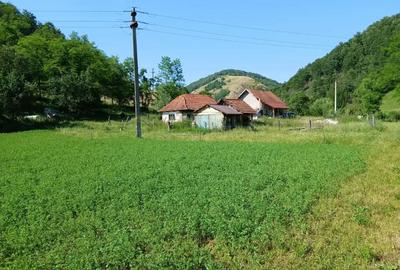 Casă cu 2 camere în Visca - 8