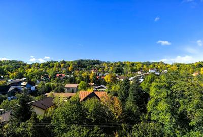 Proprietate Breaza Vila 1000mp , casa administrator , teren generos 3600mp - 38