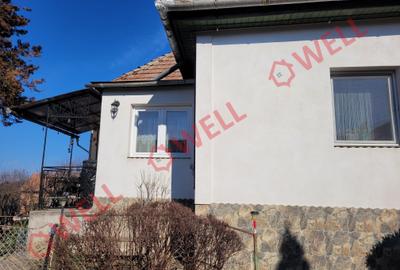 Casă individuală cu 3 camere cu Teren 1023 Mp în Delenii - 6