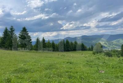 Teren de 20000 mp, în Central - 3