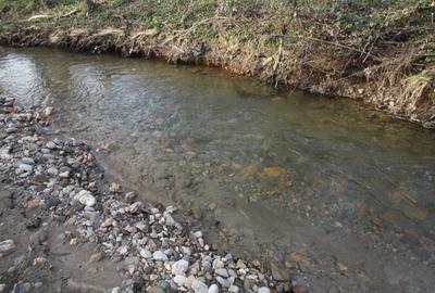 Teren Construcții intravilan de 1810 mp, în Fârdea - 5