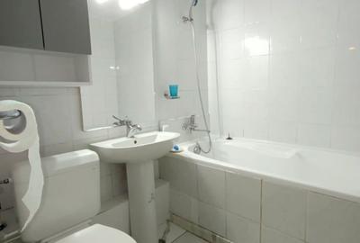 Inchiriere - Apartament 3  Camere - Teiul Doamnei - Posta - Parc Tei - 11