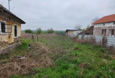 Casă cu 3 camere în Rogova - 5