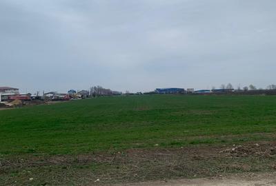 Teren Construcții extravilan de 7500 mp, în Afumați - 2