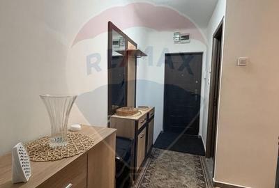 Garsoniera decomandata de inchiriat- Valea Rosie - 5