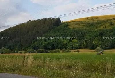 Exclusivitate! Teren intravilan in Luna de sus! - 5