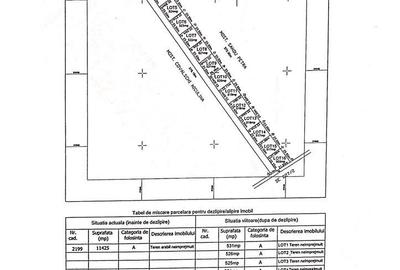 Teren de 530 mp, în Clinceni - 3