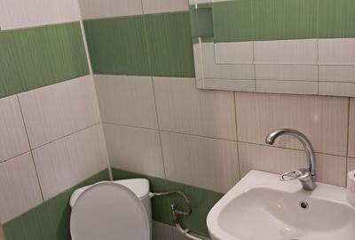 Garsonieră semidecomandată în Lăpuș - 6