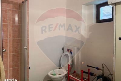Casă cu 3 camere cu Teren 1090 Mp în Avram Iancu - 4