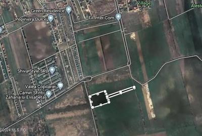 Corbeanca - Tamasi, intravilan, 16562 mp, deschidere 93 m, rezidential - 6