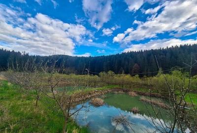 Teren de 21000 mp, în Slatina - 8