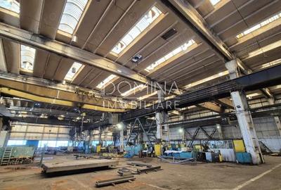 Inchiriere complex industrial versatil *hale - birouri - platforme betonate* - 3