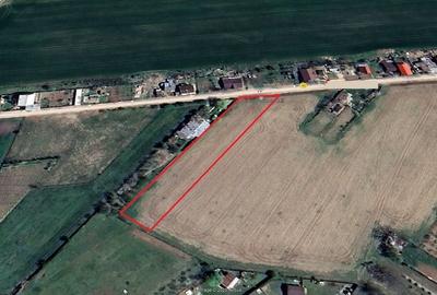 Ciolpani-Primarie-DN1-Toate Utilitatiile - 3