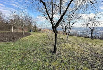 Casă cu 2 camere cu Teren 1150 Mp în Platou - 10