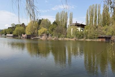 Casă individuală cu 4 camere cu Canalizare în Snagov - 4