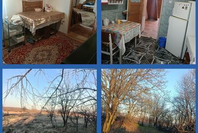 Casă cu 4 camere cu Teren 3060 Mp în Dragomirești - 2