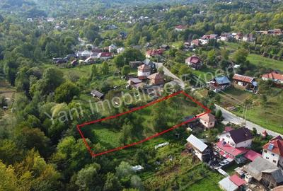 Teren de vanzare in comuna Arefu, sat Arefu, jude? Arge?. - 7