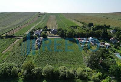 Teren intravilan de vanzare, Sat Bogdan?ti, Com. Traian - 2