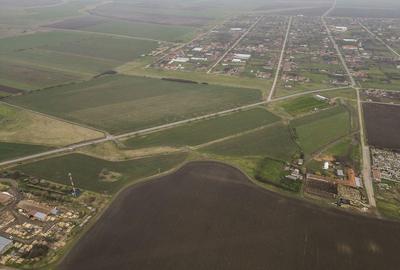 Teren 76.000mp intre Santana ?i Caporal Alexa - 2