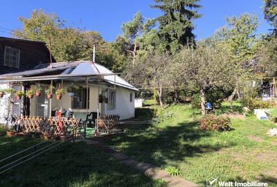 Casa veche, 3 camere, 978 m.p. teren, Grigorescu, locatie de vis - 2