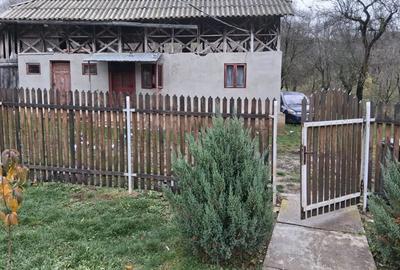 Casa cu 1000 m2 teren, 40 km Sinaia, 15km Pucioasa - 4