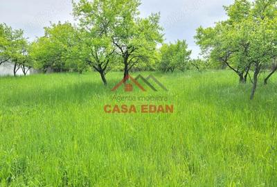 Teren intravilan in Scorteni--3999mp--55.000e - 5