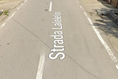 Propun spre vinzare teren 3168m2 Cornetu str.lalelilor deschider 12m lungime 264 - 2