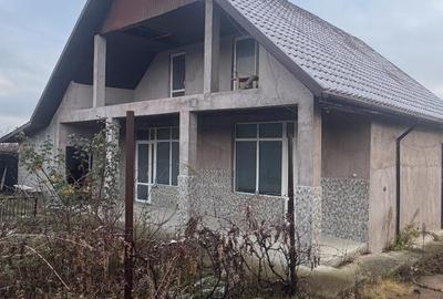 Tomesti - Osoi, vila cu spatiu comercial la parter , 2400mp teren cu iaz si pomi - 2