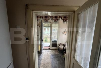 Teren 3000 mp + 2 case de vanzare-Ca?eiu - 11