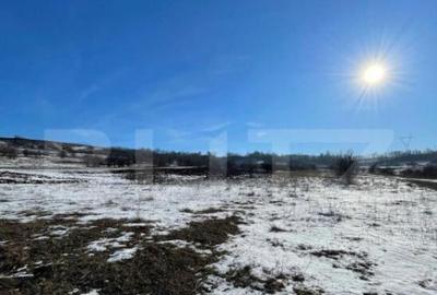 Teren extravilan, 5.400 mp, intrare Rada?eni - 1