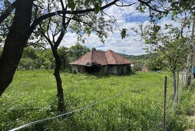 Teren de 1260 mp, în Agârbiciu - 7