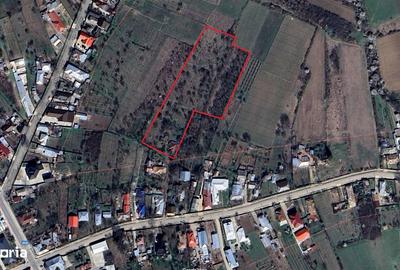 Teren de 8759 mp, în Tâmboești - 8