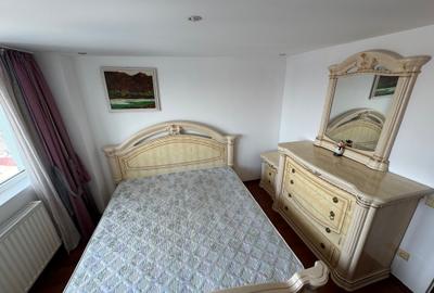 Apartament cu 3 camere decomandat, mobilat în Banu Manta - 1