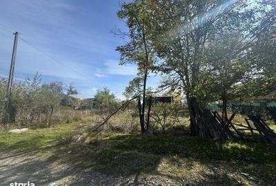 Spațiu comercial, în Rătești - 7