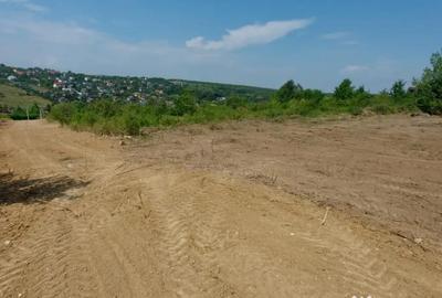 Teren de 1170 mp, în Bucium - 2