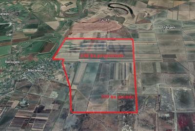 Ferma vegetala 148 ha si sediu ferma Maicanesti ! - 4