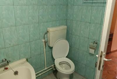 Casă cu 3 camere cu Teren 451 Mp în Viile Noi - 2