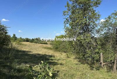 Vanzare teren Re?i?a: 17260 mp, Calea Caransebe?ului