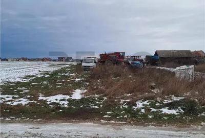Teren de 531 mp, în Sânmartin - 3