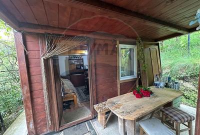 DE VANZARE - Cabana / casa vacanta in COAS - 4